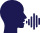 Speech and Voice Intelligence