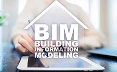 Clash Detection on BIM Model